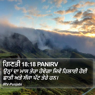 ਗਿਣਤੀ 18:18 PANIRV Bible Verse Image