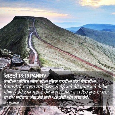ਗਿਣਤੀ 18:19 PANIRV Bible Verse Image