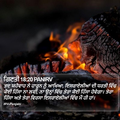 ਗਿਣਤੀ 18:20 PANIRV Bible Verse Image