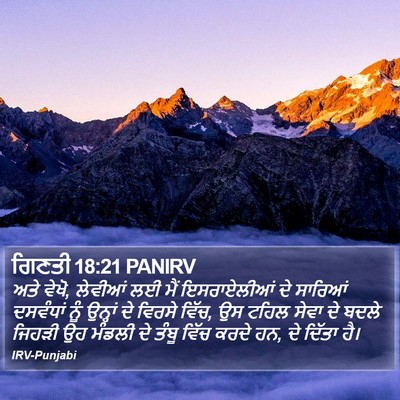 ਗਿਣਤੀ 18:21 PANIRV Bible Verse Image