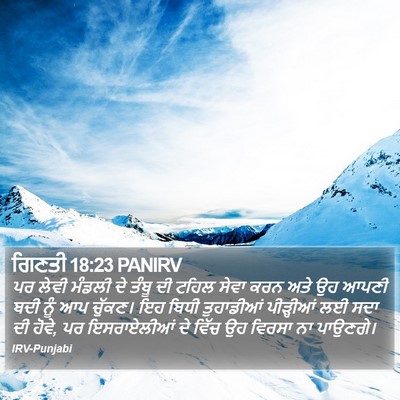 ਗਿਣਤੀ 18:23 PANIRV Bible Verse Image