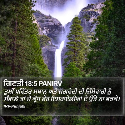 ਗਿਣਤੀ 18:5 PANIRV Bible Verse Image