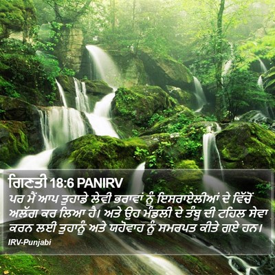 ਗਿਣਤੀ 18:6 PANIRV Bible Verse Image