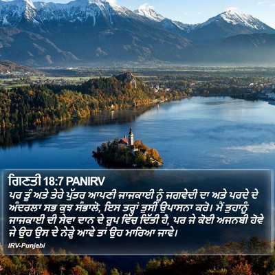 ਗਿਣਤੀ 18:7 PANIRV Bible Verse Image