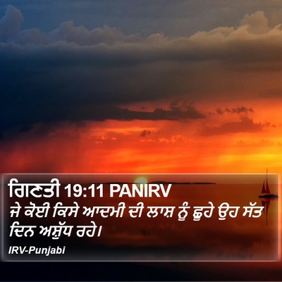 ਗਿਣਤੀ 19:11 PANIRV Bible Verse Image