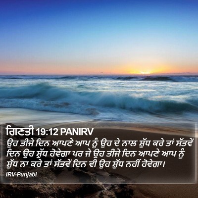 ਗਿਣਤੀ 19:12 PANIRV Bible Verse Image