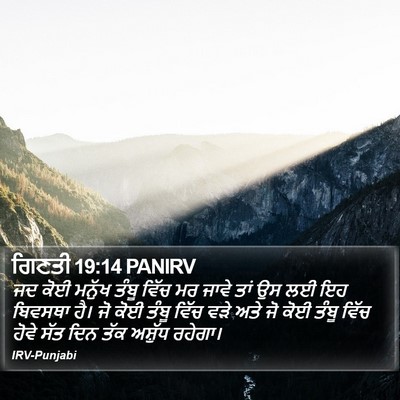 ਗਿਣਤੀ 19:14 PANIRV Bible Verse Image