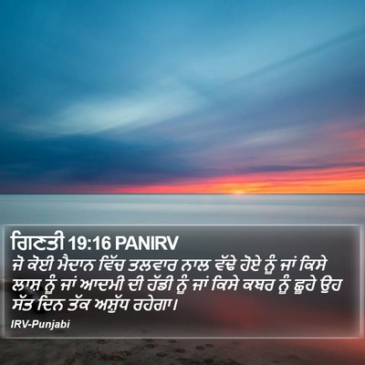 ਗਿਣਤੀ 19:16 PANIRV Bible Verse Image