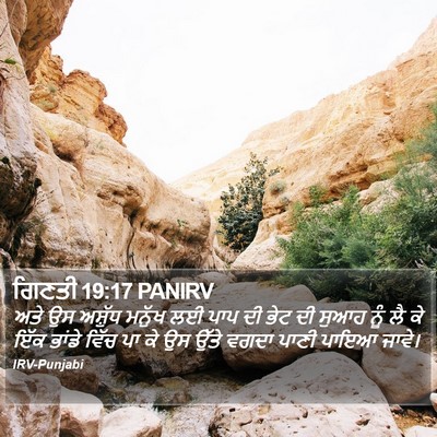 ਗਿਣਤੀ 19:17 PANIRV Bible Verse Image