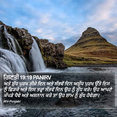 ਗਿਣਤੀ 19:19 PANIRV Bible Verse Image