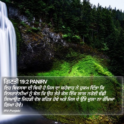 ਗਿਣਤੀ 19:2 PANIRV Bible Verse Image