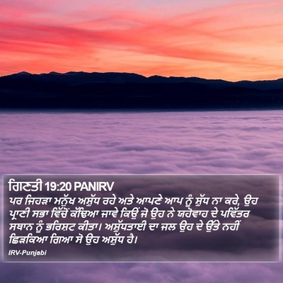 ਗਿਣਤੀ 19:20 PANIRV Bible Verse Image