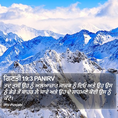 ਗਿਣਤੀ 19:3 PANIRV Bible Verse Image