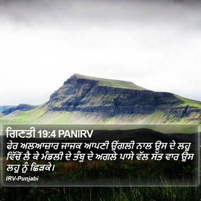 ਗਿਣਤੀ 19:4 PANIRV Bible Verse Image