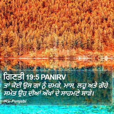 ਗਿਣਤੀ 19:5 PANIRV Bible Verse Image