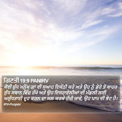 ਗਿਣਤੀ 19:9 PANIRV Bible Verse Image