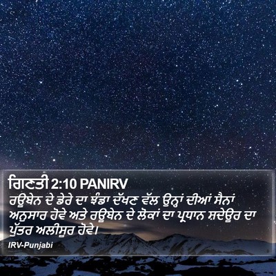 ਗਿਣਤੀ 2:10 PANIRV Bible Verse Image