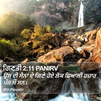 ਗਿਣਤੀ 2:11 PANIRV Bible Verse Image
