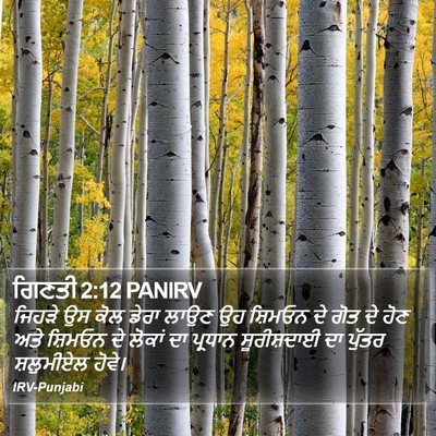 ਗਿਣਤੀ 2:12 PANIRV Bible Verse Image