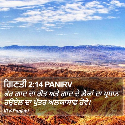 ਗਿਣਤੀ 2:14 PANIRV Bible Verse Image