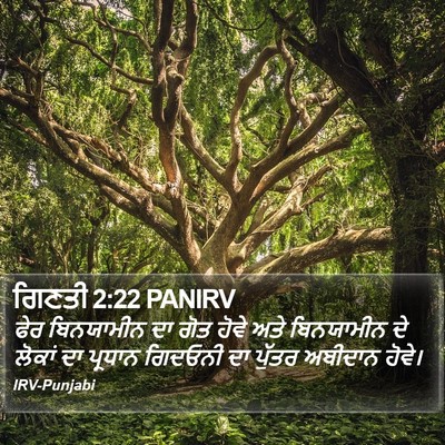 ਗਿਣਤੀ 2:22 PANIRV Bible Verse Image