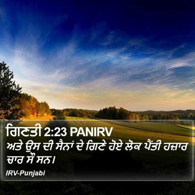 ਗਿਣਤੀ 2:23 PANIRV Bible Verse Image