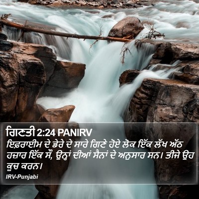 ਗਿਣਤੀ 2:24 PANIRV Bible Verse Image