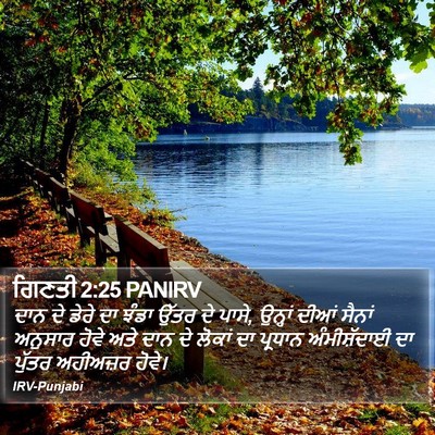 ਗਿਣਤੀ 2:25 PANIRV Bible Verse Image