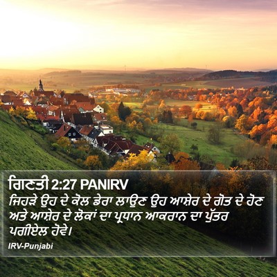 ਗਿਣਤੀ 2:27 PANIRV Bible Verse Image