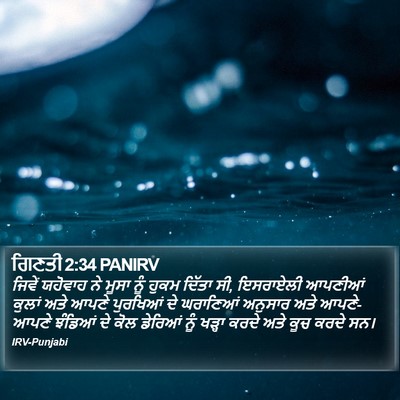 ਗਿਣਤੀ 2:34 PANIRV Bible Verse Image