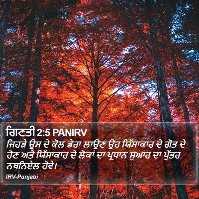 ਗਿਣਤੀ 2:5 PANIRV Bible Verse Image