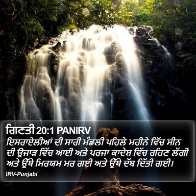 ਗਿਣਤੀ 20:1 PANIRV Bible Verse Image