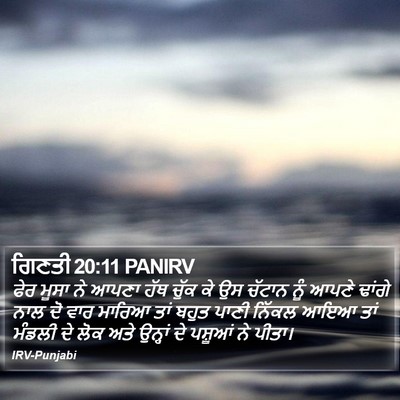 ਗਿਣਤੀ 20:11 PANIRV Bible Verse Image