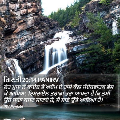 ਗਿਣਤੀ 20:14 PANIRV Bible Verse Image