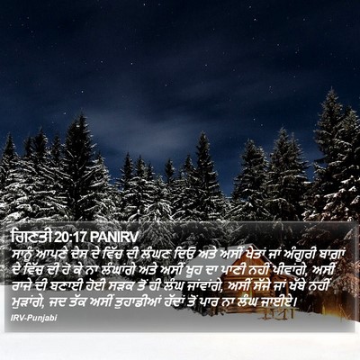 ਗਿਣਤੀ 20:17 PANIRV Bible Verse Image