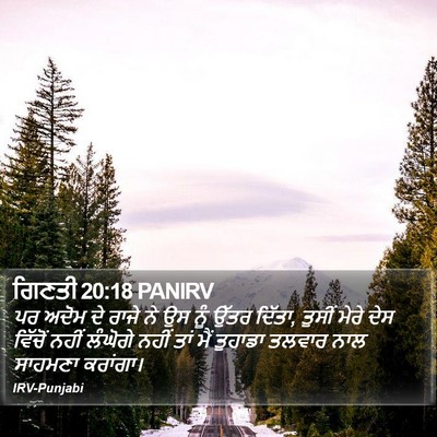 ਗਿਣਤੀ 20:18 PANIRV Bible Verse Image