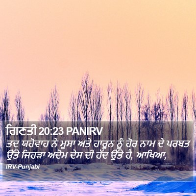 ਗਿਣਤੀ 20:23 PANIRV Bible Verse Image