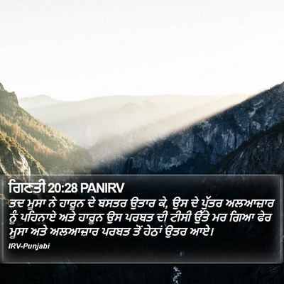 ਗਿਣਤੀ 20:28 PANIRV Bible Verse Image