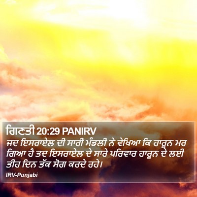ਗਿਣਤੀ 20:29 PANIRV Bible Verse Image