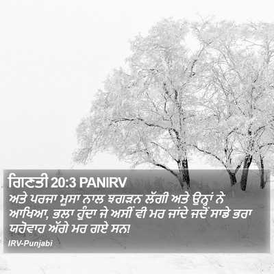 ਗਿਣਤੀ 20:3 PANIRV Bible Verse Image