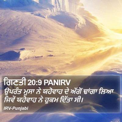 ਗਿਣਤੀ 20:9 PANIRV Bible Verse Image