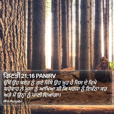 ਗਿਣਤੀ 21:16 PANIRV Bible Verse Image