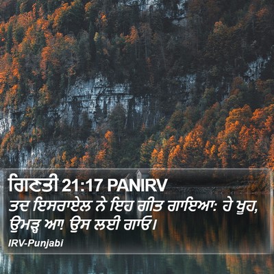 ਗਿਣਤੀ 21:17 PANIRV Bible Verse Image