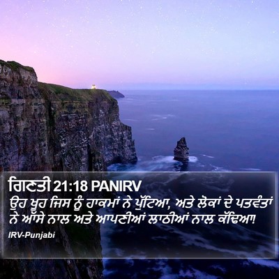 ਗਿਣਤੀ 21:18 PANIRV Bible Verse Image