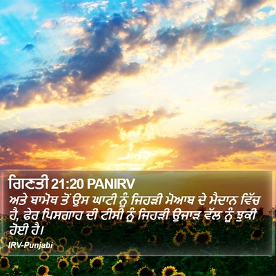 ਗਿਣਤੀ 21:20 PANIRV Bible Verse Image