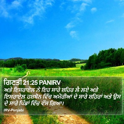 ਗਿਣਤੀ 21:25 PANIRV Bible Verse Image