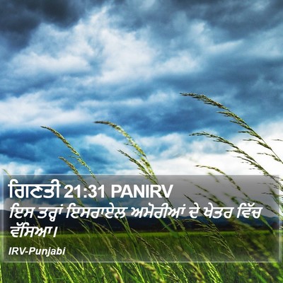 ਗਿਣਤੀ 21:31 PANIRV Bible Verse Image