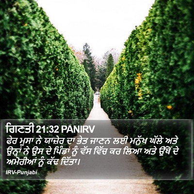 ਗਿਣਤੀ 21:32 PANIRV Bible Verse Image