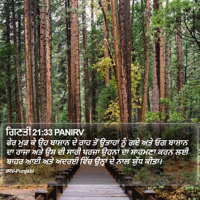 ਗਿਣਤੀ 21:33 PANIRV Bible Verse Image