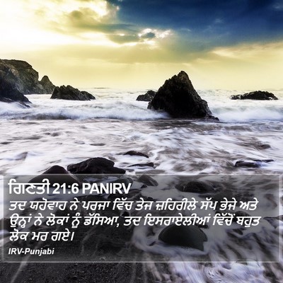 ਗਿਣਤੀ 21:6 PANIRV Bible Verse Image
